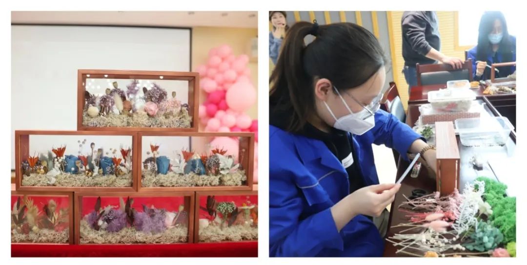 16787941667484.jpg 2.jpg